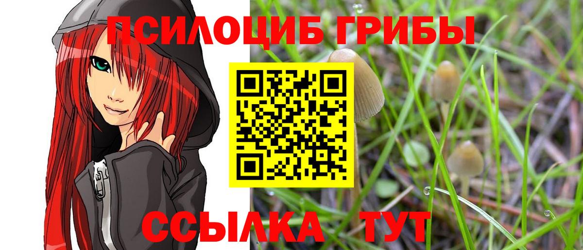Галлюциногенные грибы Psilocybine cubensis Нягань